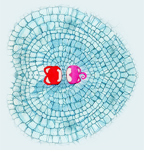 直到有一天阿伟与蕾蕾相遇了